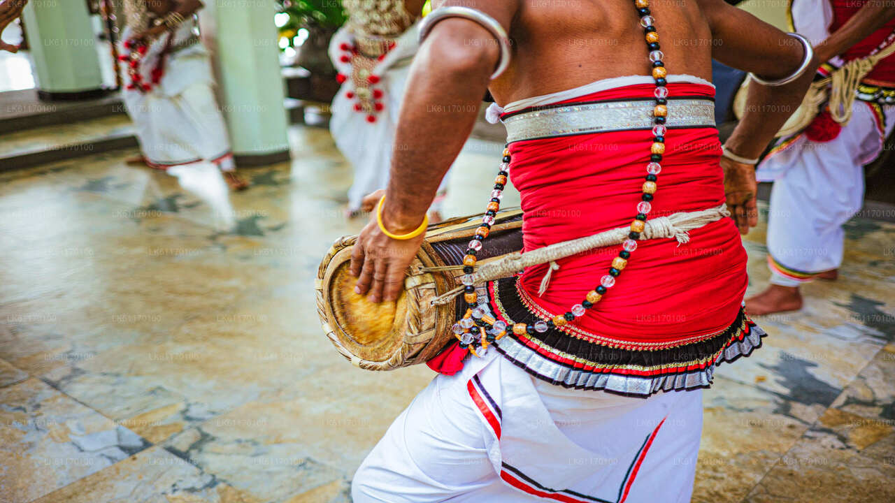 Stadtrundfahrt durch Kandy