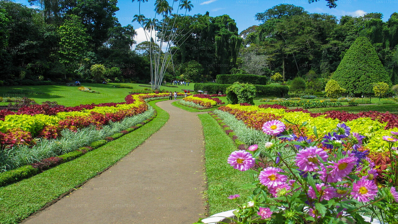 Stadtrundfahrt durch Kandy