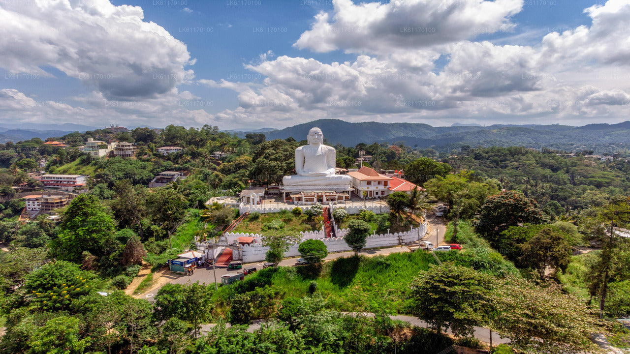 Stadtrundfahrt durch Kandy