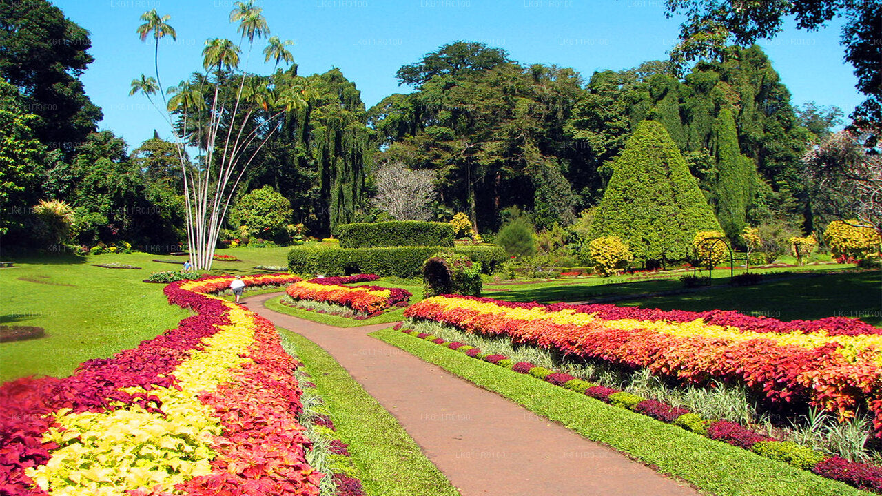 Nuwara Eliya Stadtrundfahrt