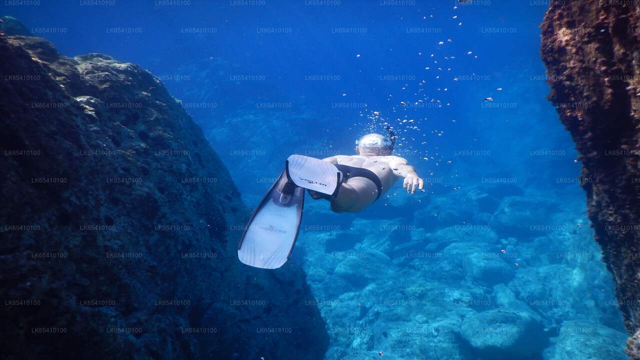 Tauchen von Unawatuna aus