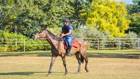 Reiten für Anfänger ab Dambulla