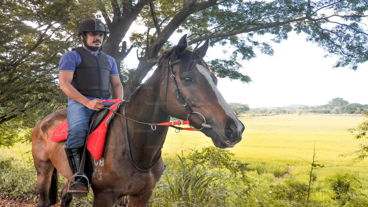 Ausritt zu Pferd durch ein Dorf von Habarana aus