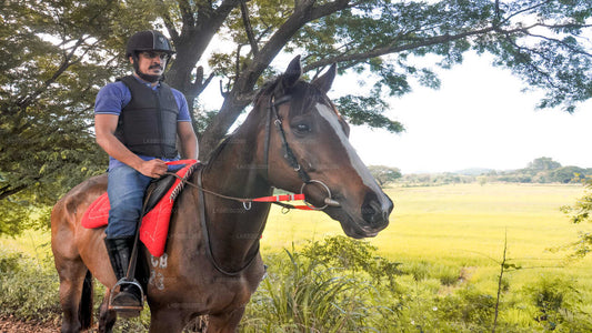 Ausritt zu Pferd durch ein Dorf von Habarana aus