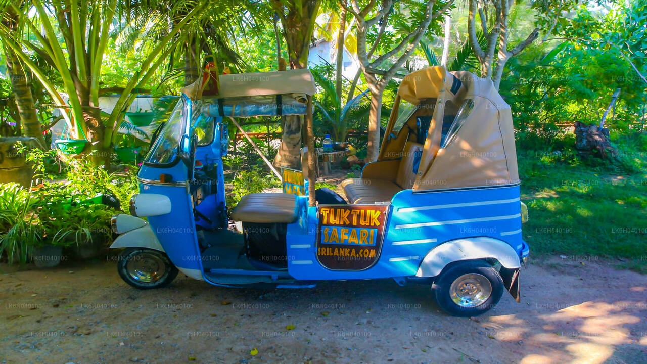 Tuk-Tuk-Safari auf dem Land in Galle
