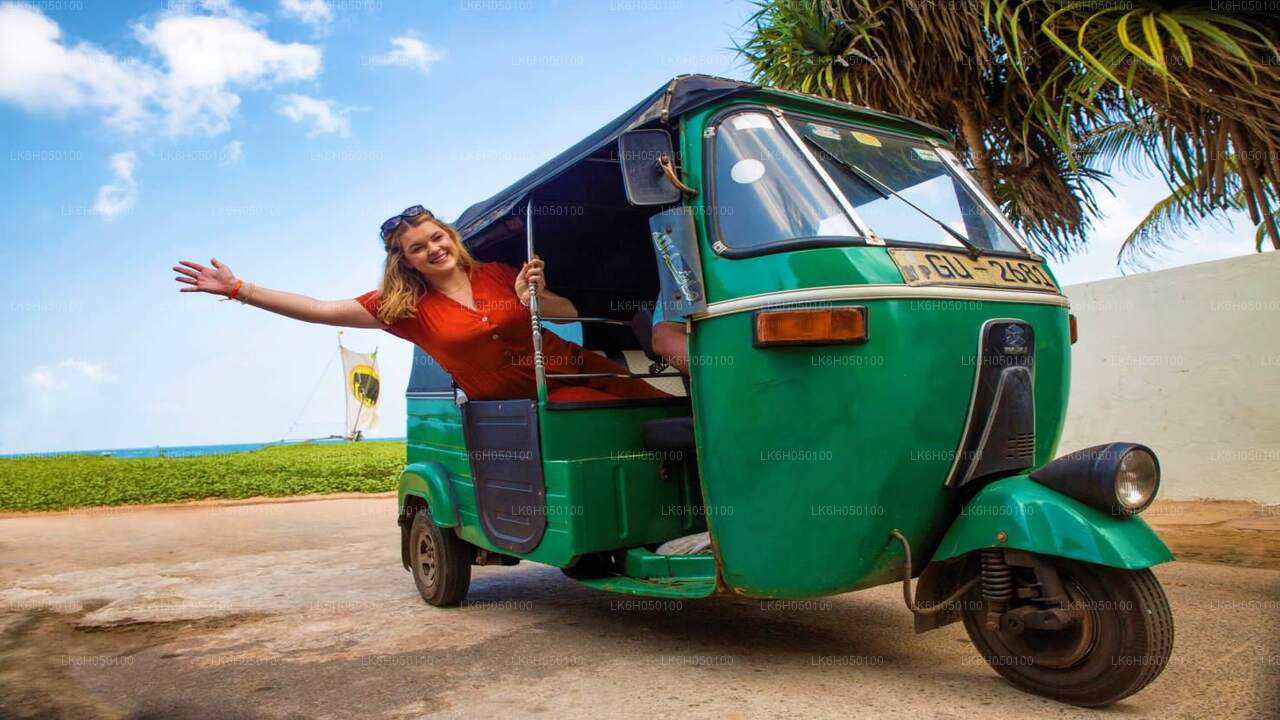 Tuk-Tuk-Safari durch die Stadt Negombo