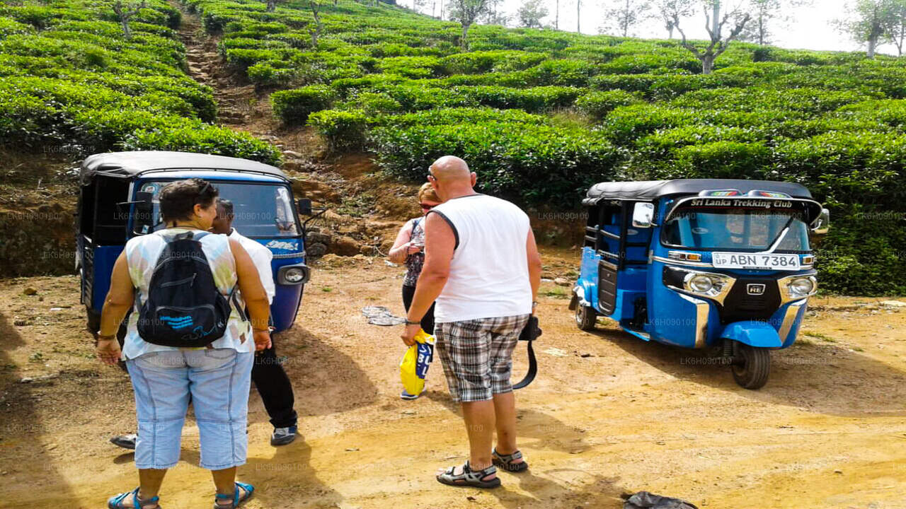 Tuk-Tuk-Abenteuer von Ella