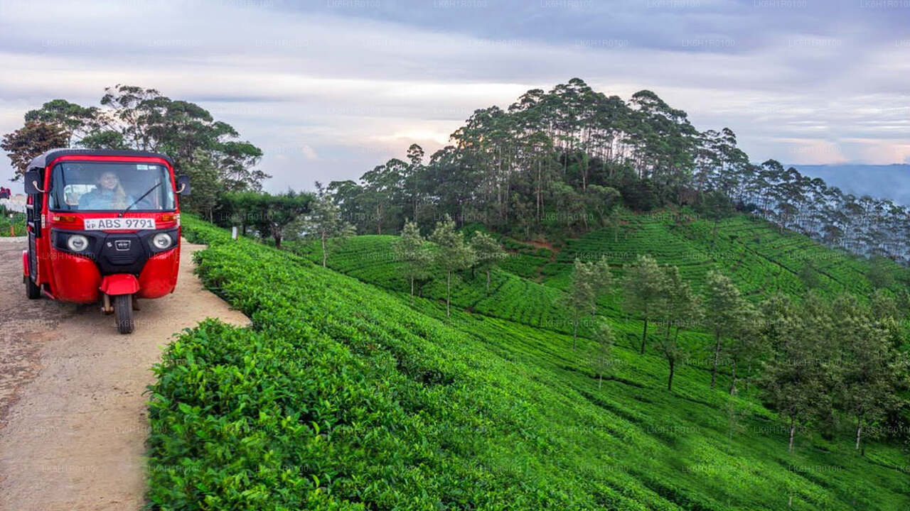 Nuwara Eliya Tuk-Tuk-Abenteuer