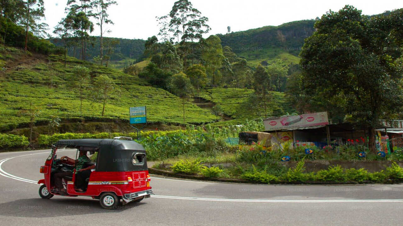 Nuwara Eliya Tuk-Tuk-Abenteuer