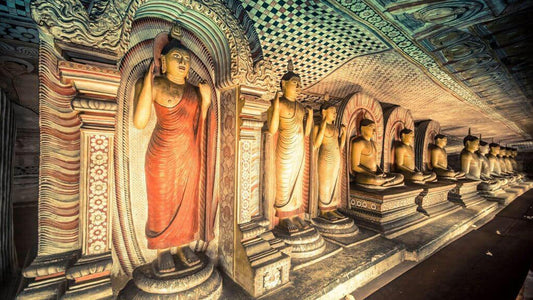 Geführte Tour durch den Höhlentempel von Dambulla inklusive Eintrittskarten