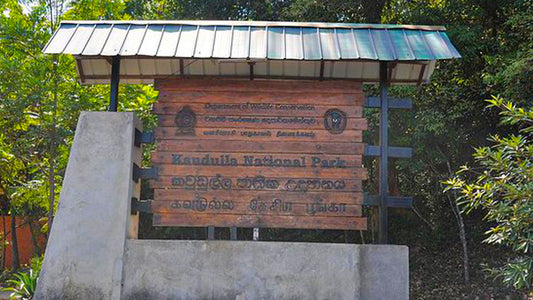 Eintrittskarten für den Kaudulla-Nationalpark