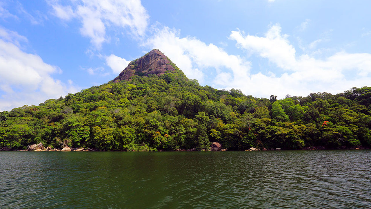 Eintrittskarten für den Gal Oya-Nationalpark