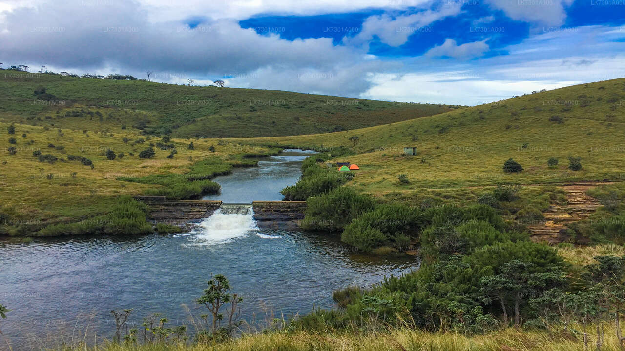 Camping im Horton Plains National Park von Colombo aus