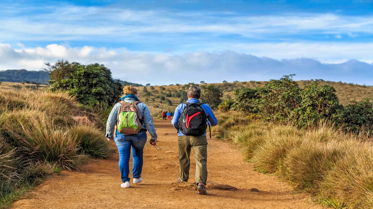 Camping im Horton Plains National Park von Colombo aus