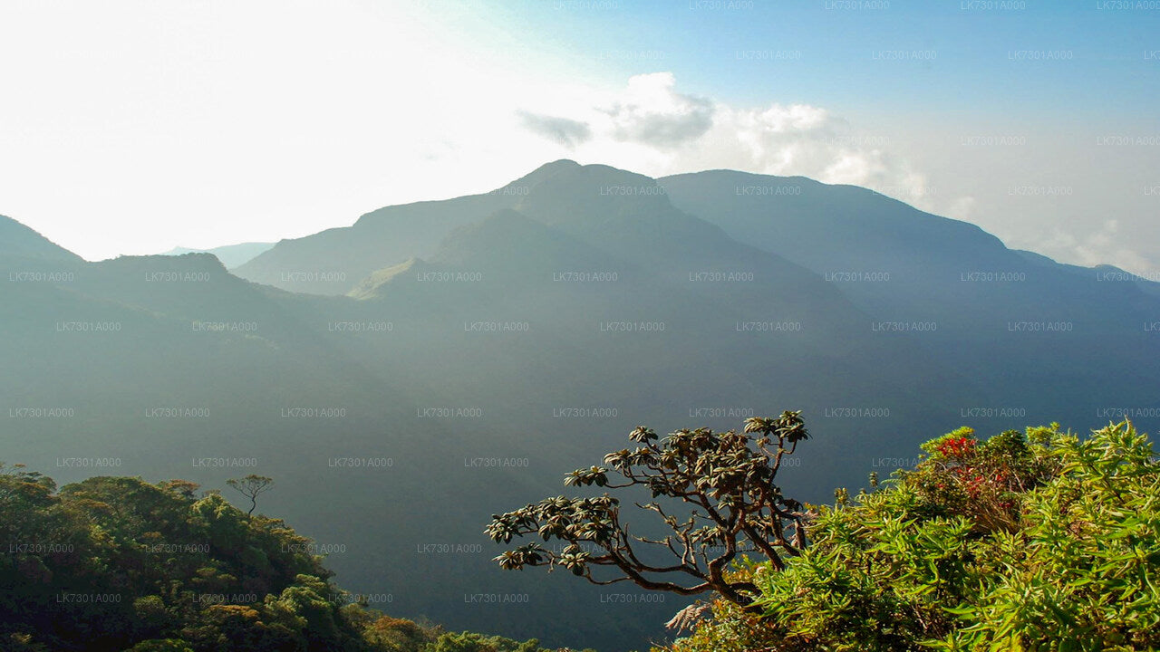 Camping im Horton Plains National Park von Colombo aus