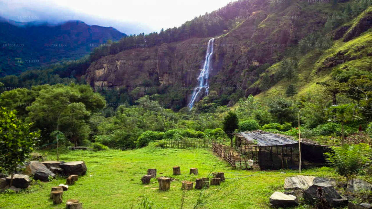 Camping in Wangedikanda und Wanderung zu den Bambarakanda-Wasserfällen von Colombo aus (2 Tage)
