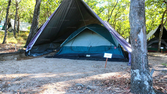 Eine Nacht Camping im Yala-Nationalpark