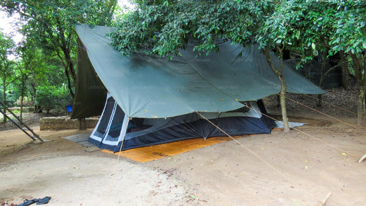 Eine Nacht Camping im Wasgamuwa-Nationalpark