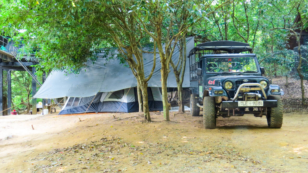 Eine Nacht Camping im Wasgamuwa-Nationalpark