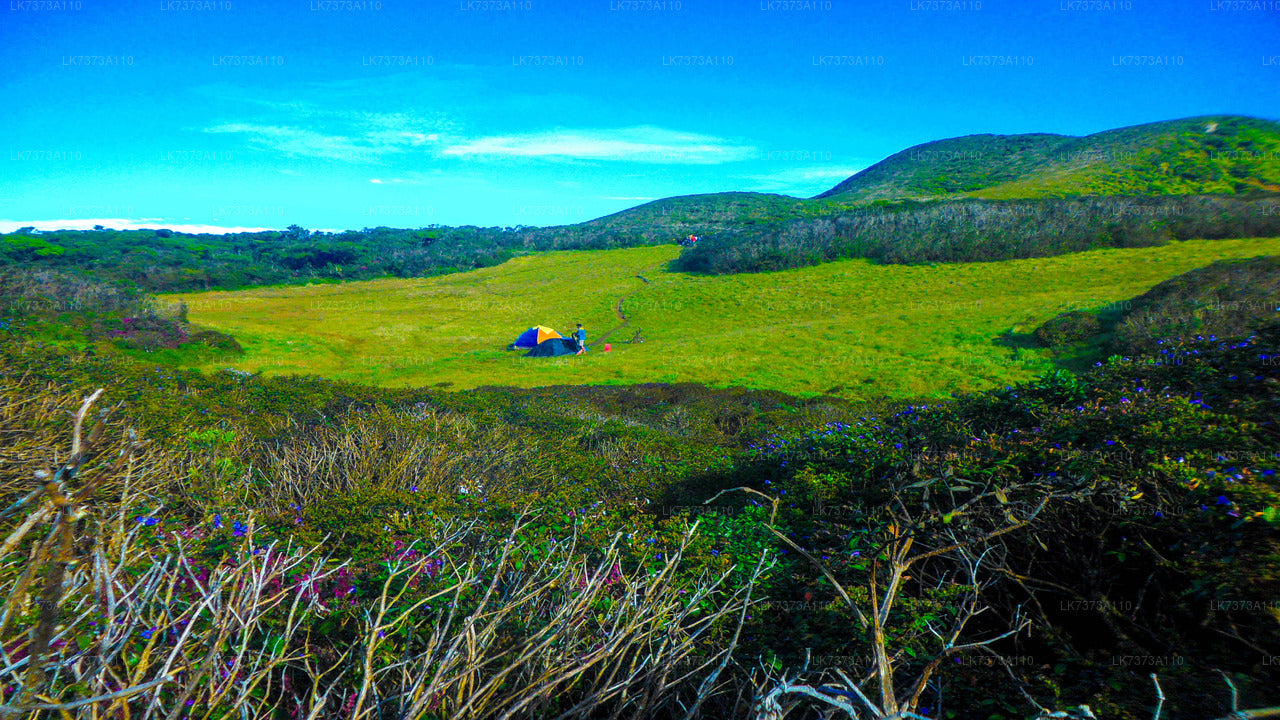 Camping von Ramboda