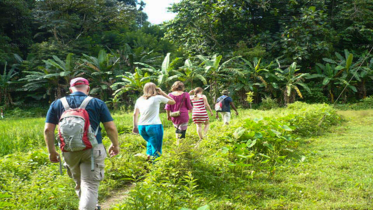 Landwanderung von Kandy aus