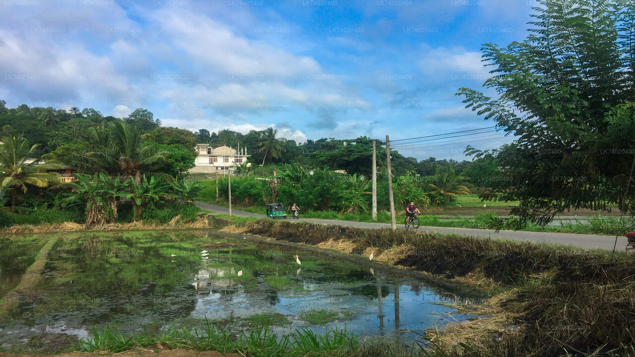 Landwanderung von Kandy aus
