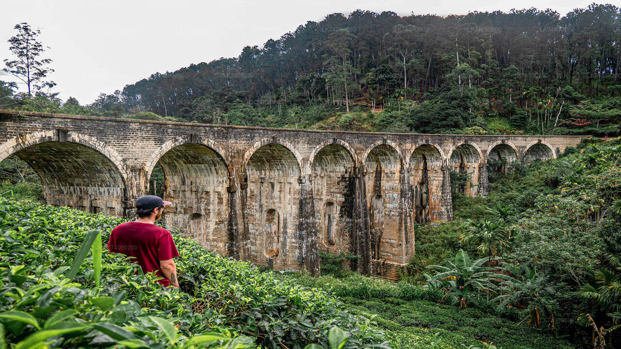 Wanderung von Ella zum Little Adam's Peak und zur Nine Arches Bridge