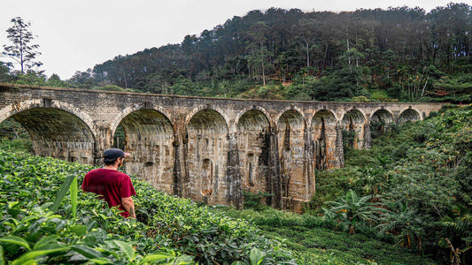 Wanderung von Ella zum Little Adam's Peak und zur Nine Arches Bridge