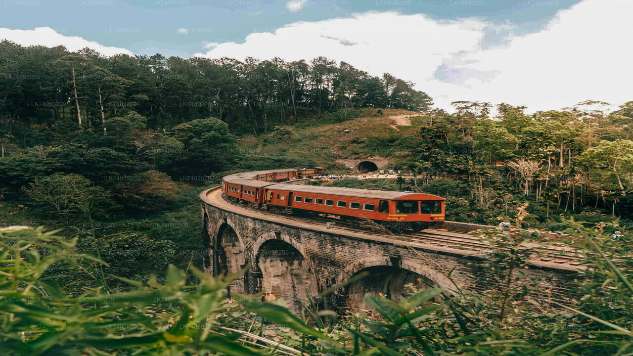 Wanderung von Ella zum Little Adam's Peak und zur Nine Arches Bridge