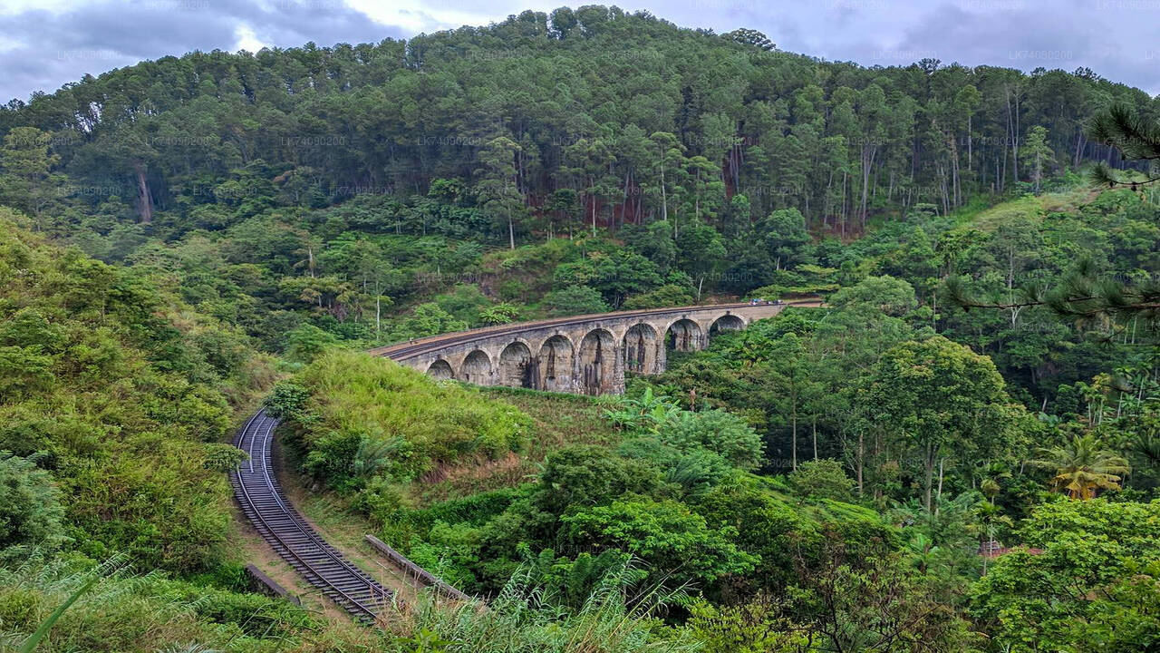 Wanderung von Ella zum Little Adam's Peak und zur Nine Arches Bridge