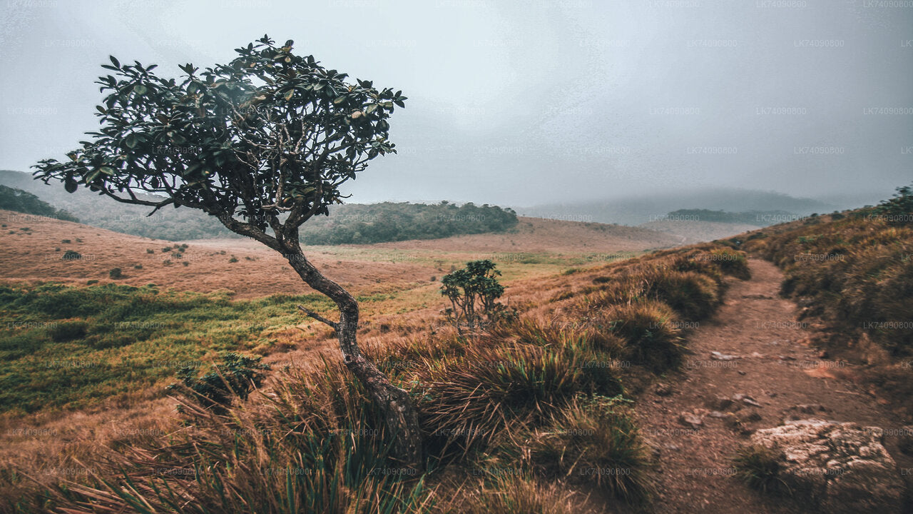 Horton-Plains-Nationalpark von Ella aus