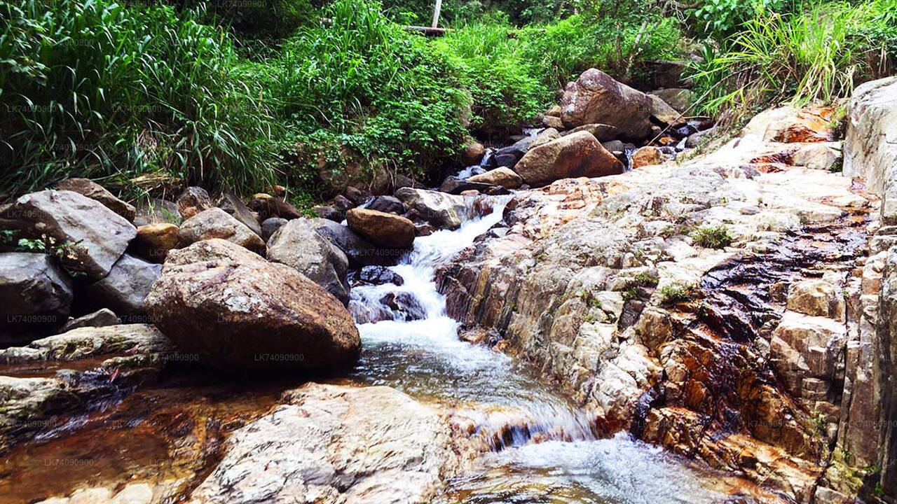 Wasserfallwanderung von Ella
