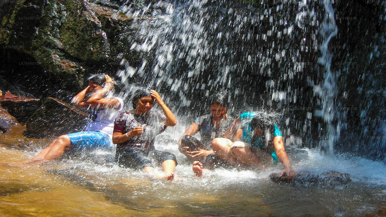 Regenwald-Trekking von Kitulgala