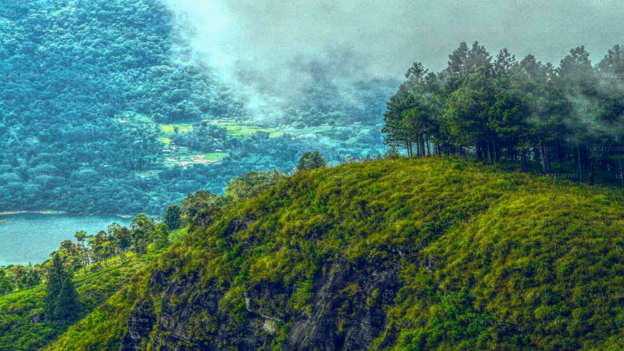 Wanderung von Kandy zum Peacock Hill