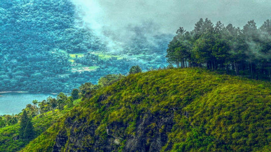 Wanderung von Kandy zum Peacock Hill
