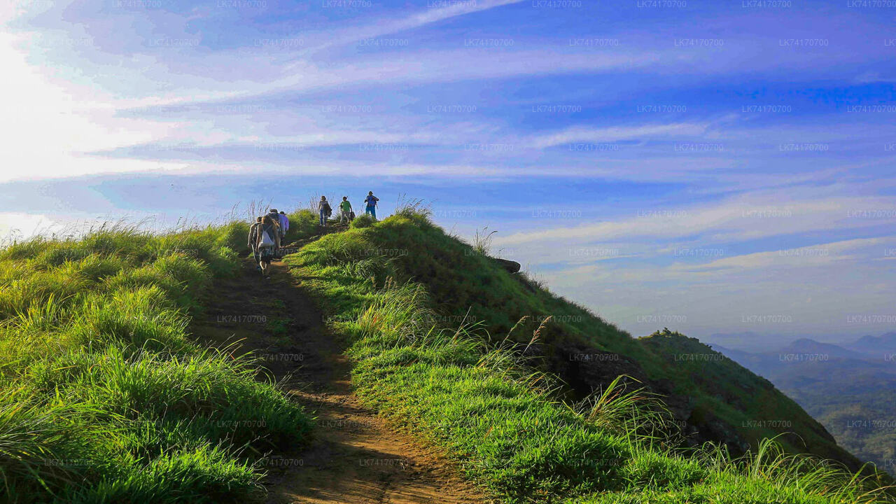Wanderung von Kandy zum Peacock Hill