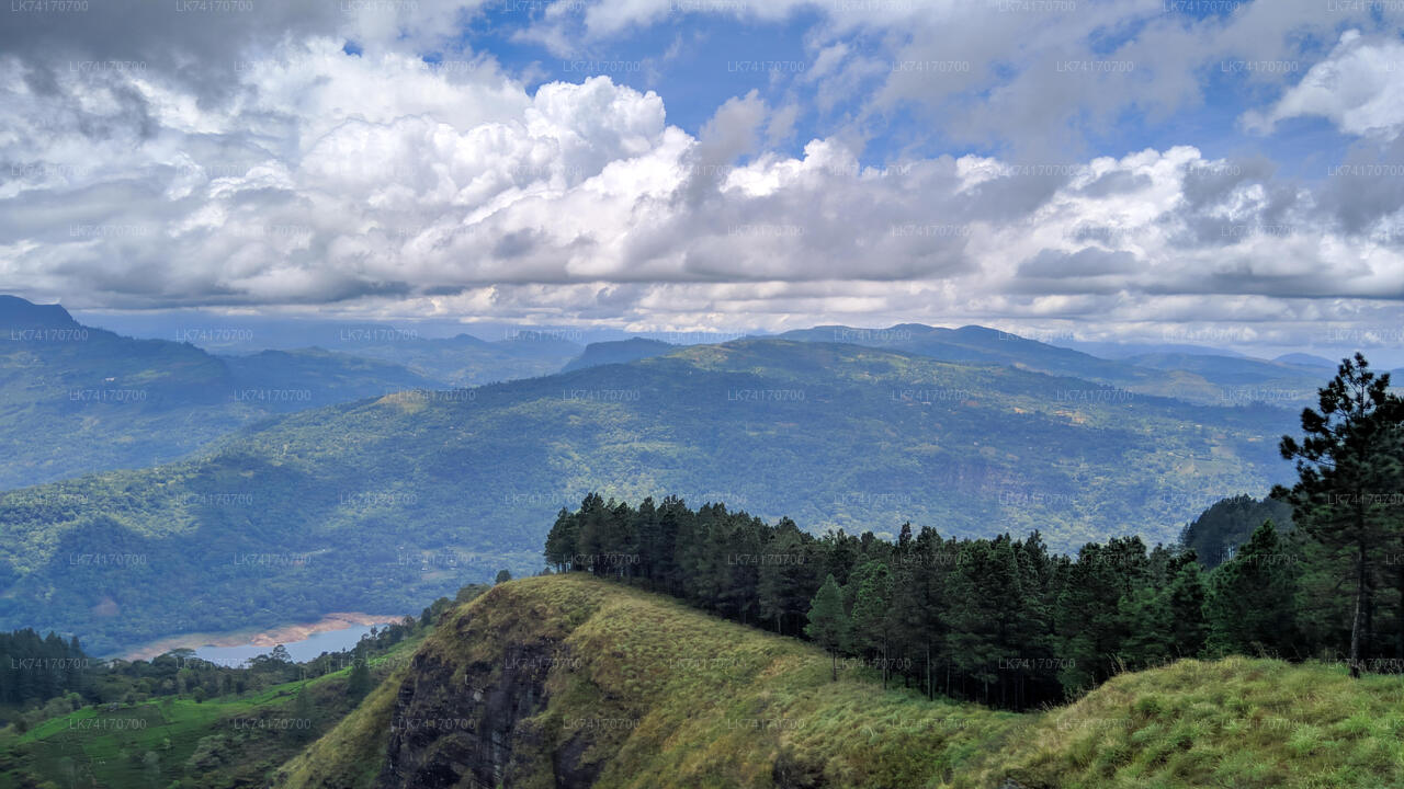 Wanderung von Kandy zum Peacock Hill