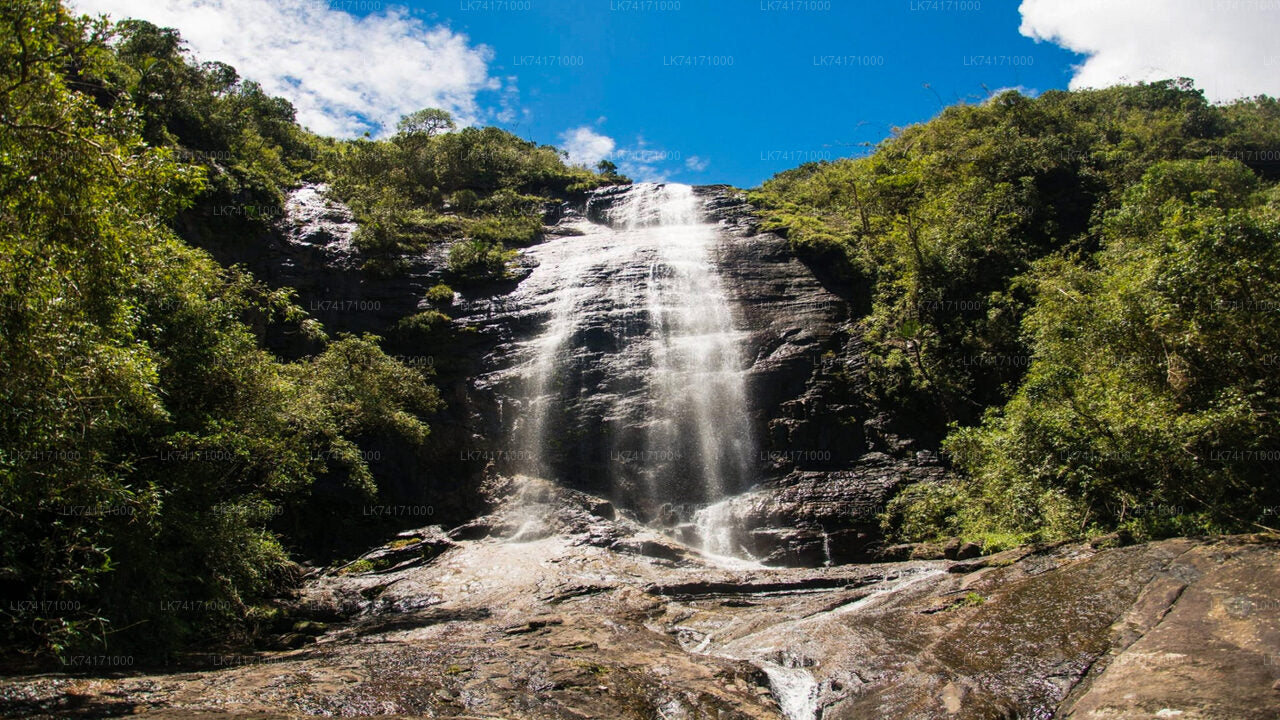 Trekking von Kandy nach Heeloya Village
