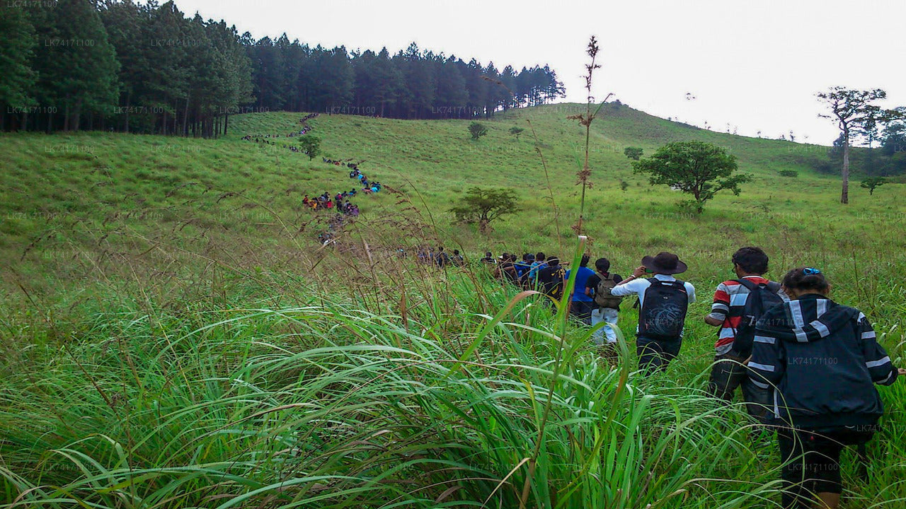 Trekking von Kandy nach Heeloya Village