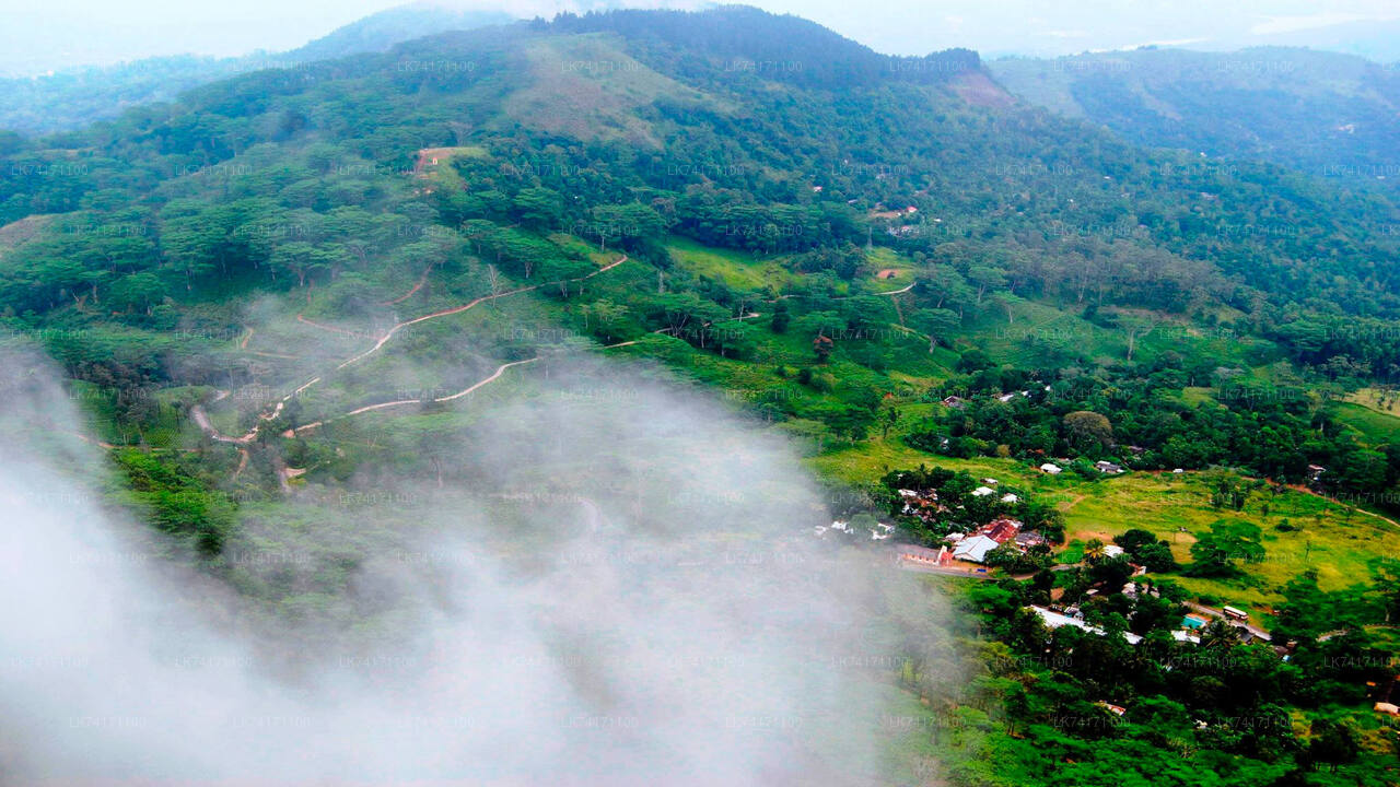 Trekking von Kandy nach Heeloya Village