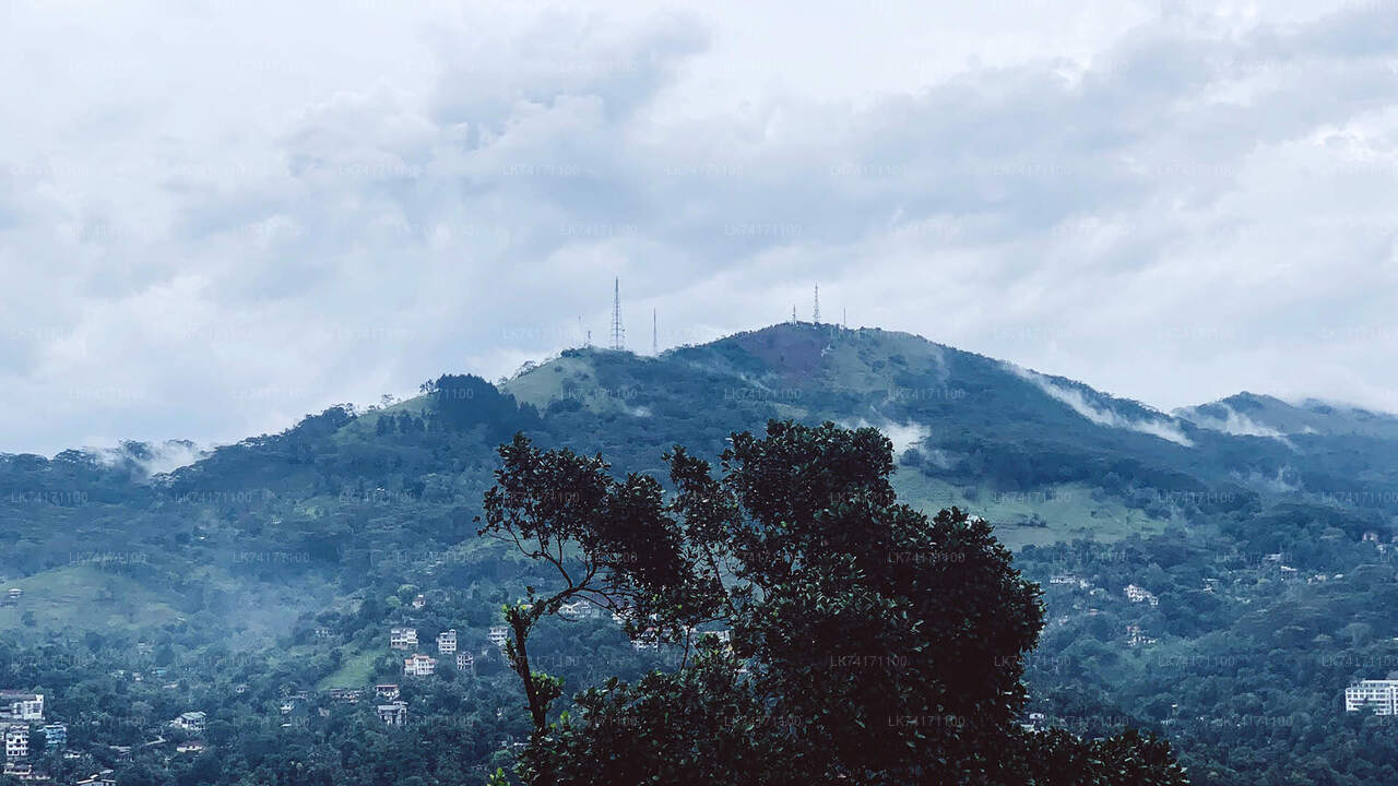 Trekking von Kandy nach Heeloya Village