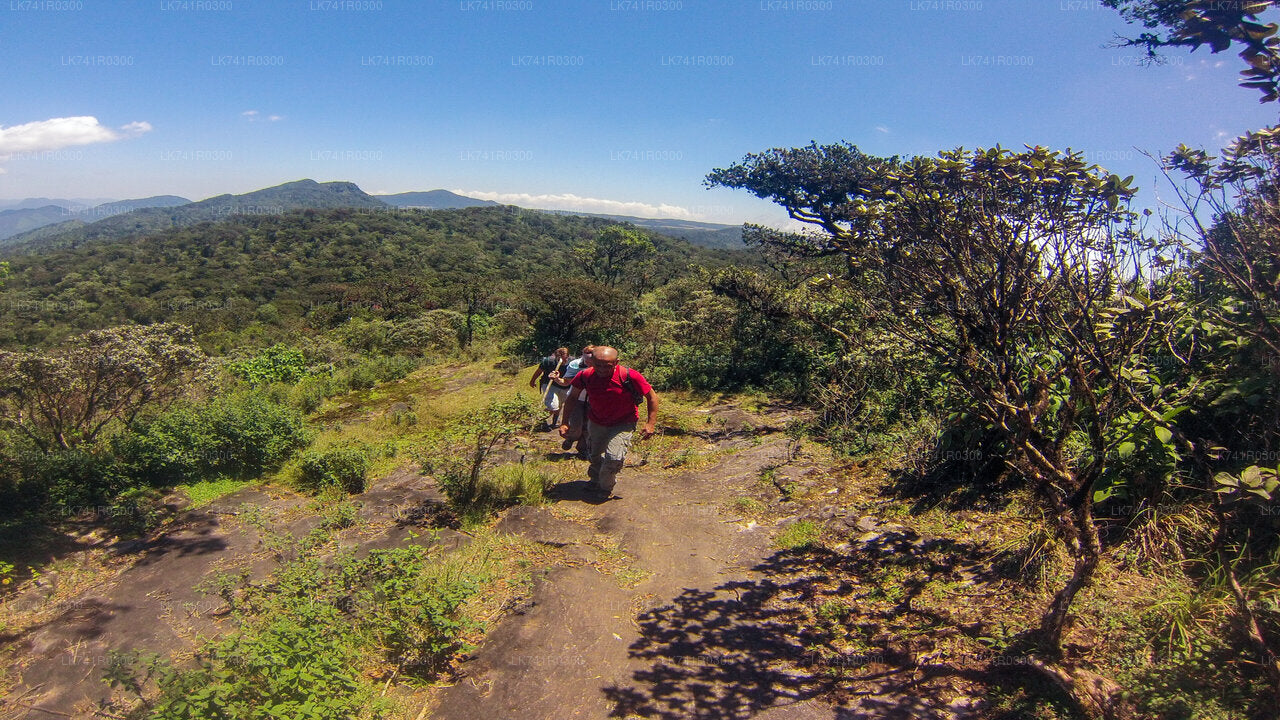 Wandern Sie über die Horton Plains zum Kirigalpoththa-Gebirge