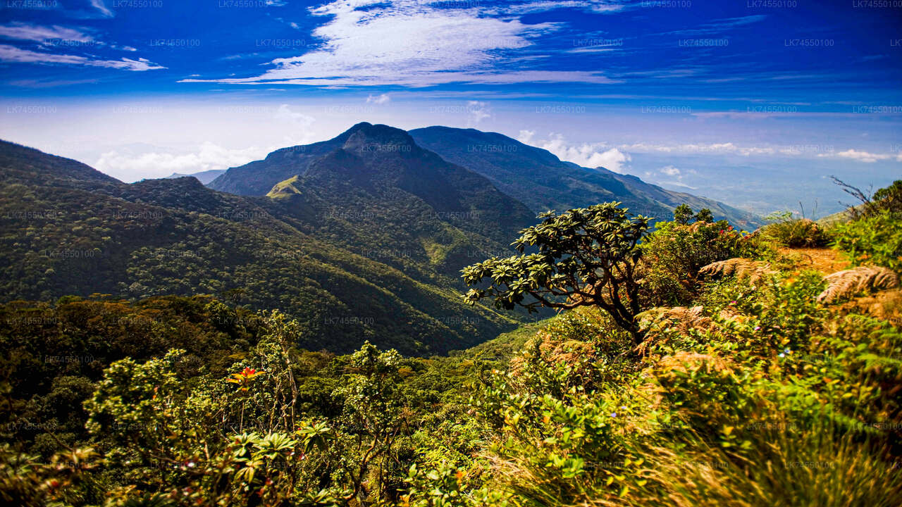 Wanderung zur Horton Plains Border über Bahngleise von Pattipola