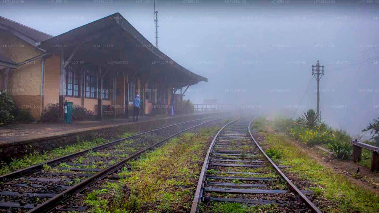 Wanderung zur Horton Plains Border über Bahngleise von Pattipola