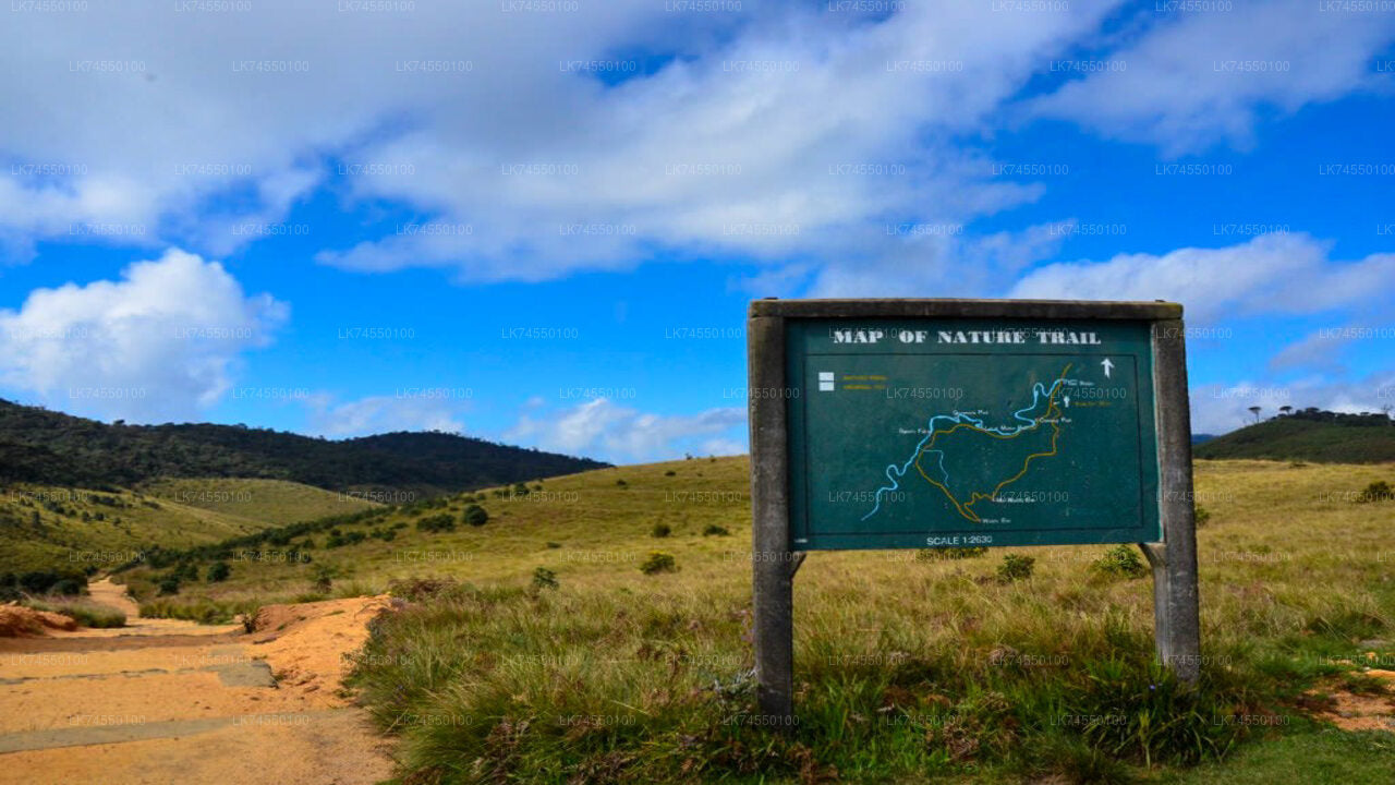 Wanderung zur Horton Plains Border über Bahngleise von Pattipola
