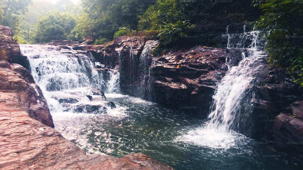 Wanderung zu Wasserfällen auf dem Land ab Mount Lavinia