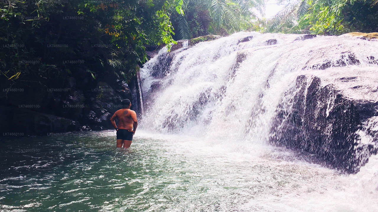 Wanderung zu Wasserfällen auf dem Land ab Mount Lavinia