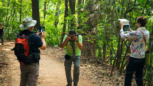 Vogelbeobachtung vom Udawatta Kele Forest Reserve aus