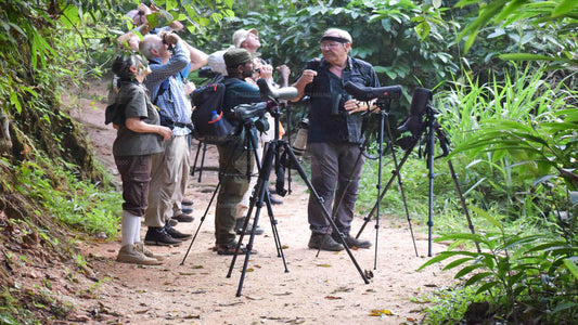Vogelbeobachtung in Kitulgala vom Mount Lavinia aus