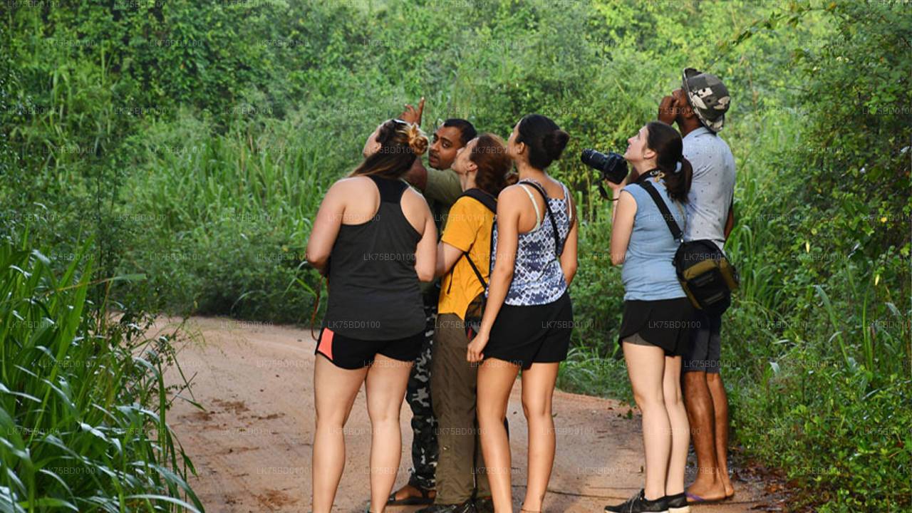 Bundala-Nationalpark-Safari ab Tissamaharama
